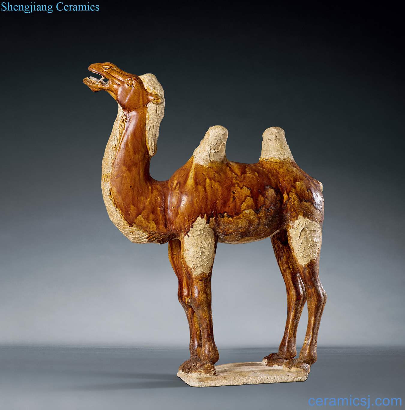 Tang three-color camel