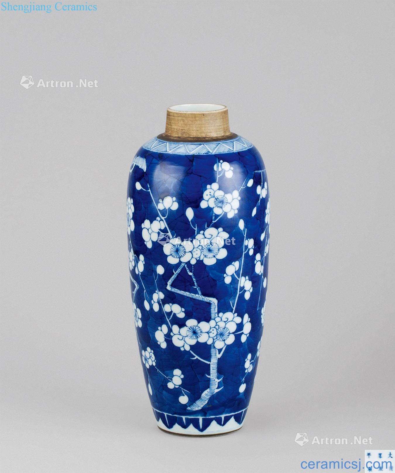 In the qing dynasty (1644-1911) blue and white plum flower pattern vase