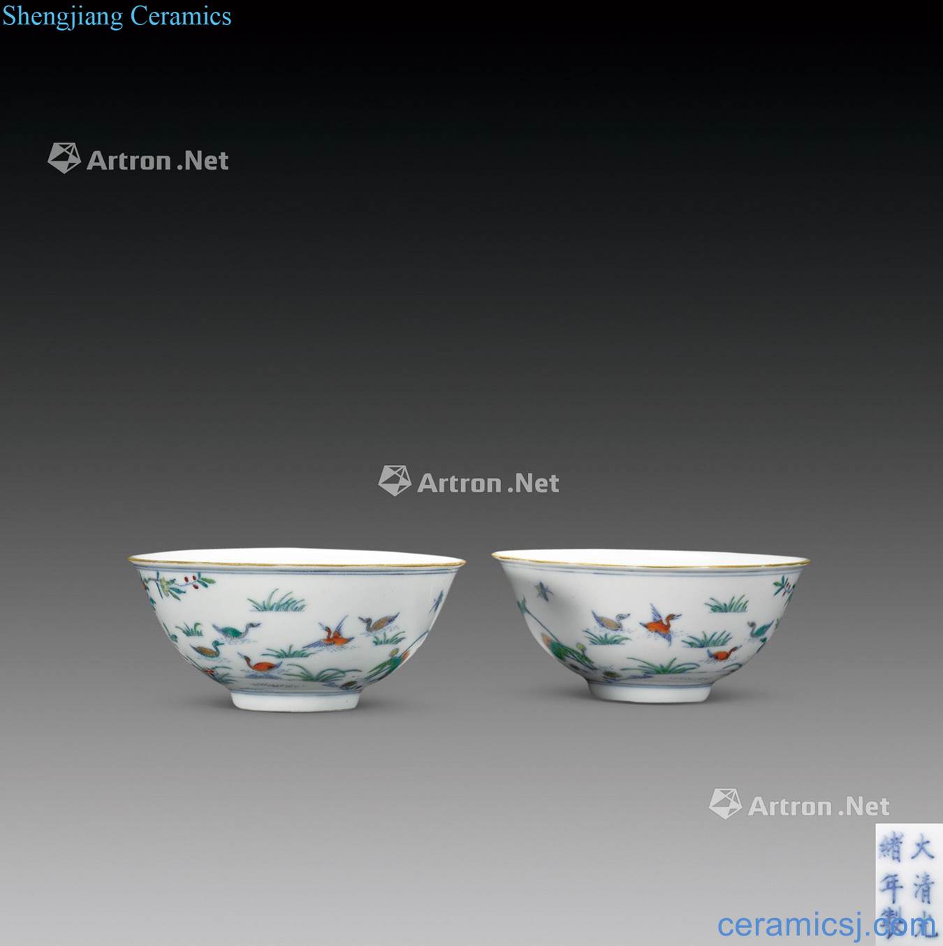 Bucket color all the way even the reign of qing emperor guangxu secco bowl (a)