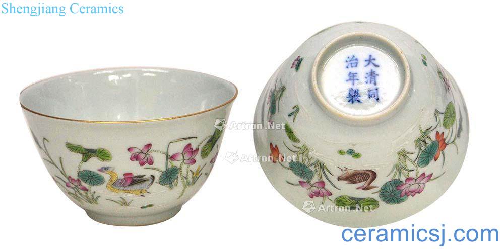 Dajing pastel studied mandarin duck lines cup (a)