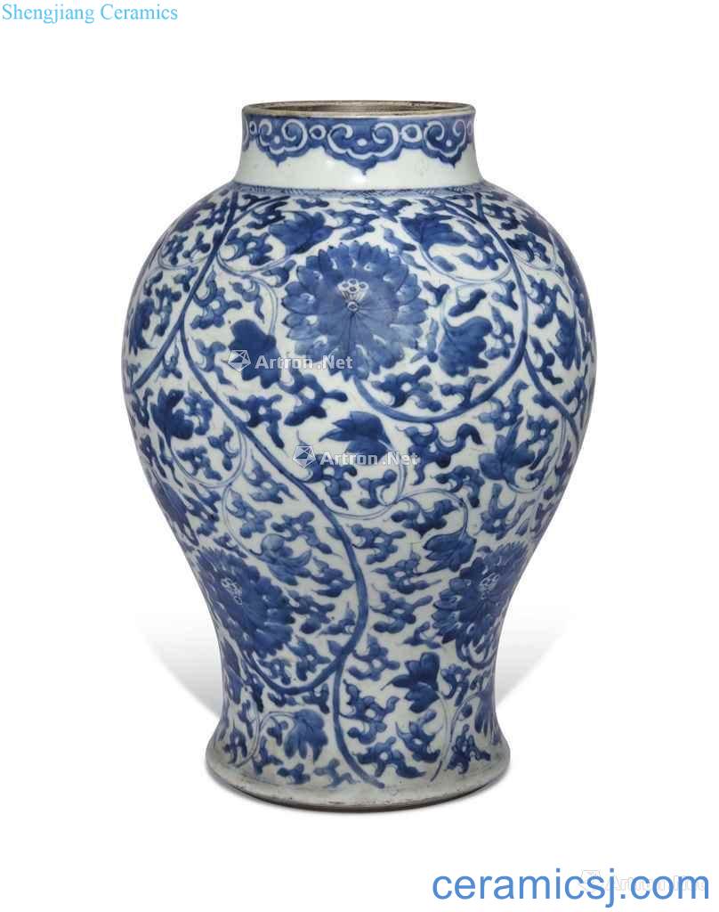 The qing emperor kangxi Blue and white lotus flower grain bottle