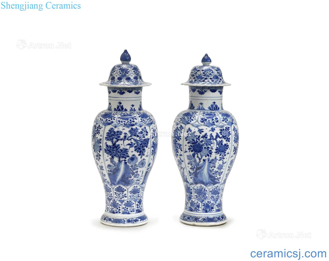 The qing emperor kangxi Blue and white flowers lines cover bottle (a)