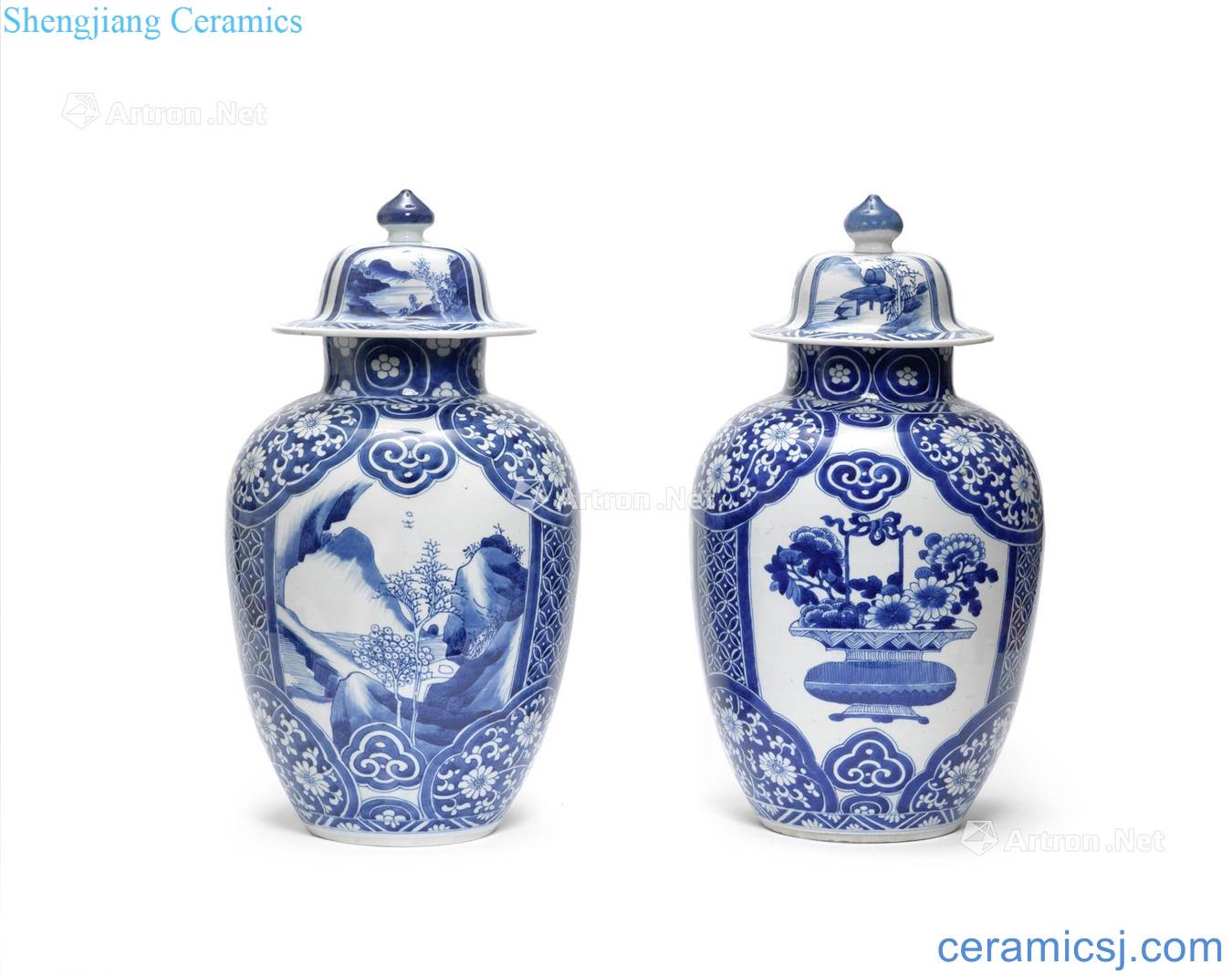 The qing emperor kangxi Blue and white medallion landscape tougue bottle (a)