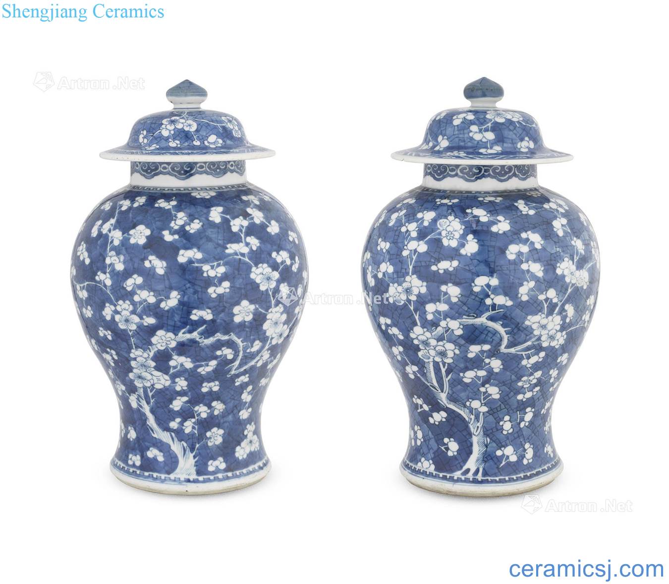 The qing emperor kangxi Ice to crack the plum blossom lines cover canister (a)
