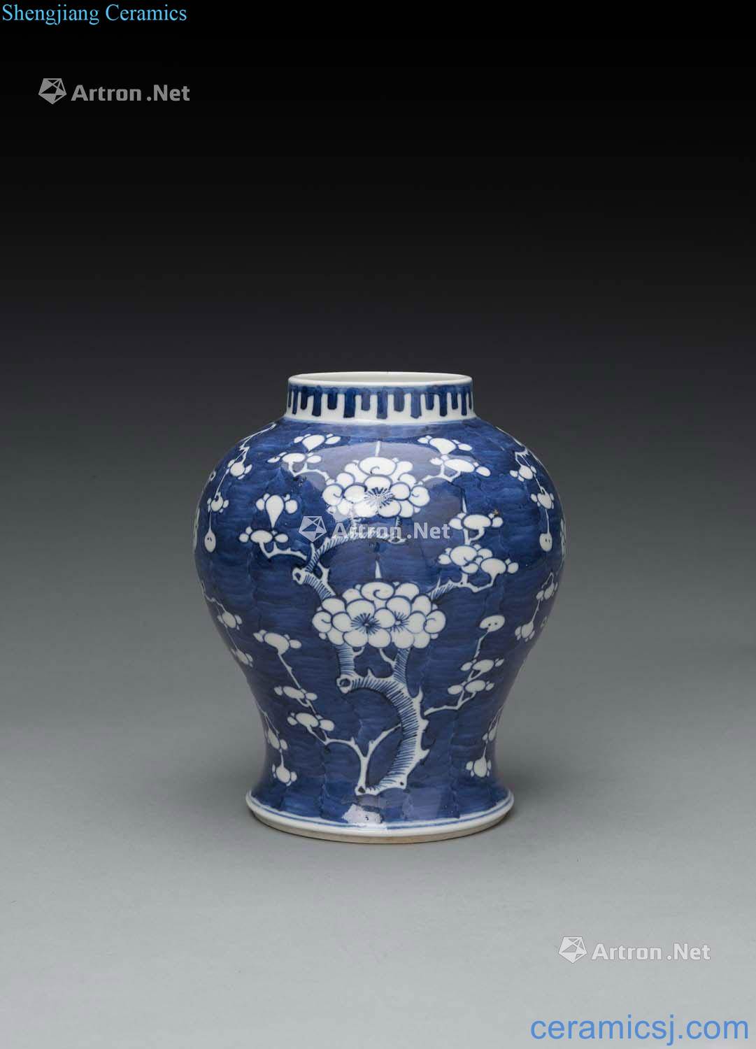 The late qing dynasty porcelain pot