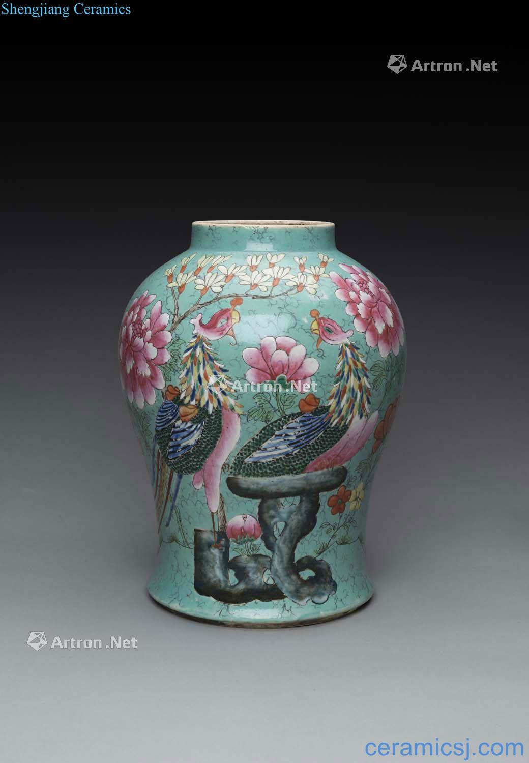 Qing general powder enamel jar in the 19th century