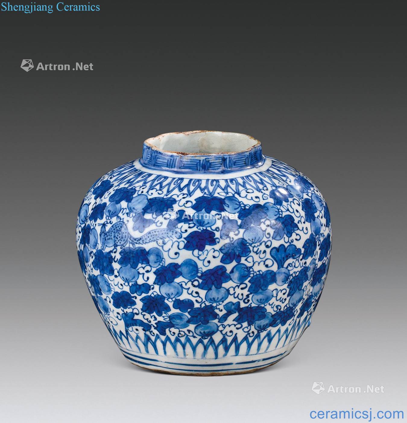 The Ming dynasty (1368-1644) blue and white squirrel grape grain melon leng cans