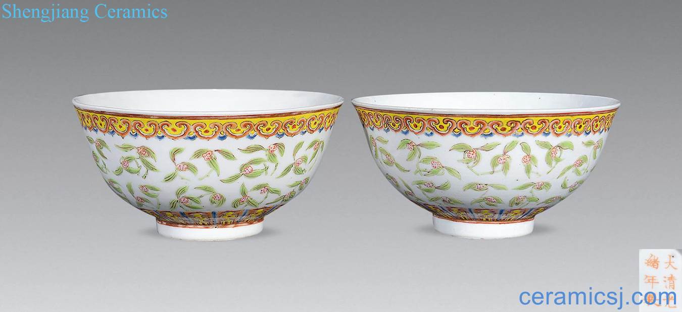Pastel reign of qing emperor guangxu yulan decorative pattern bowl (a)