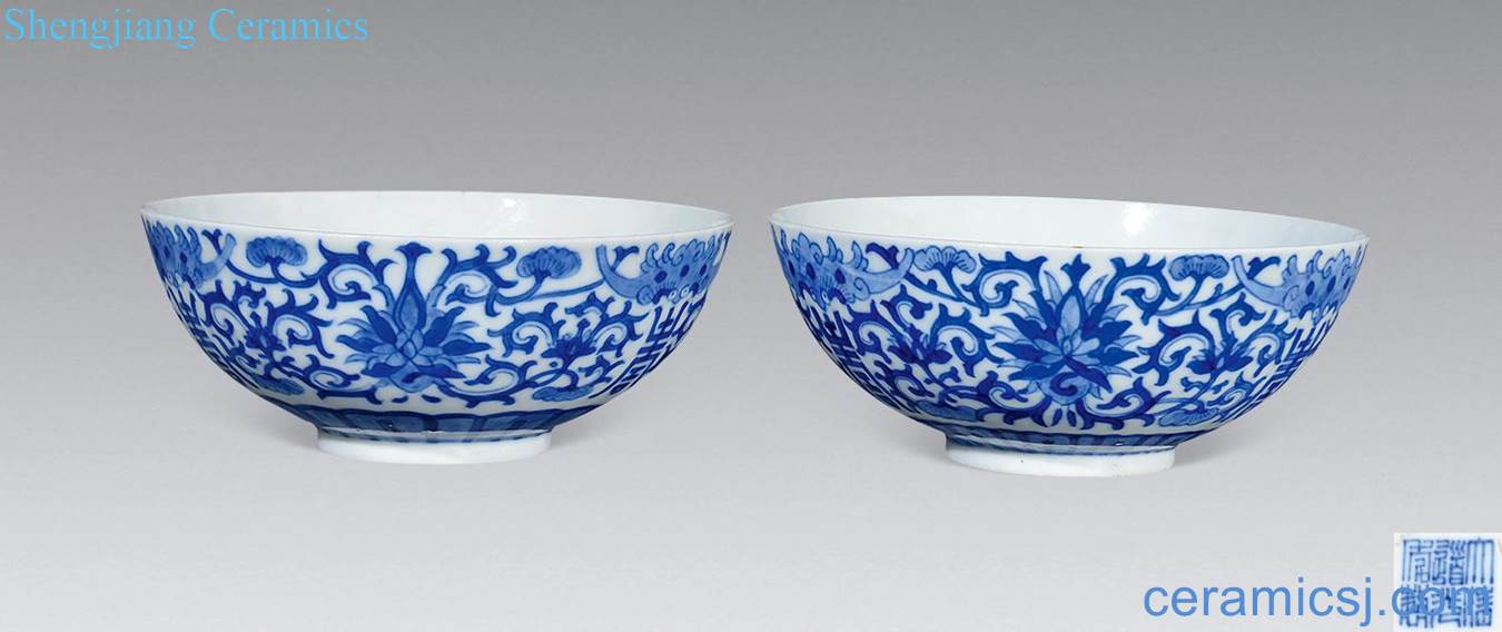 Qing daoguang Blue and white live bowl (a)