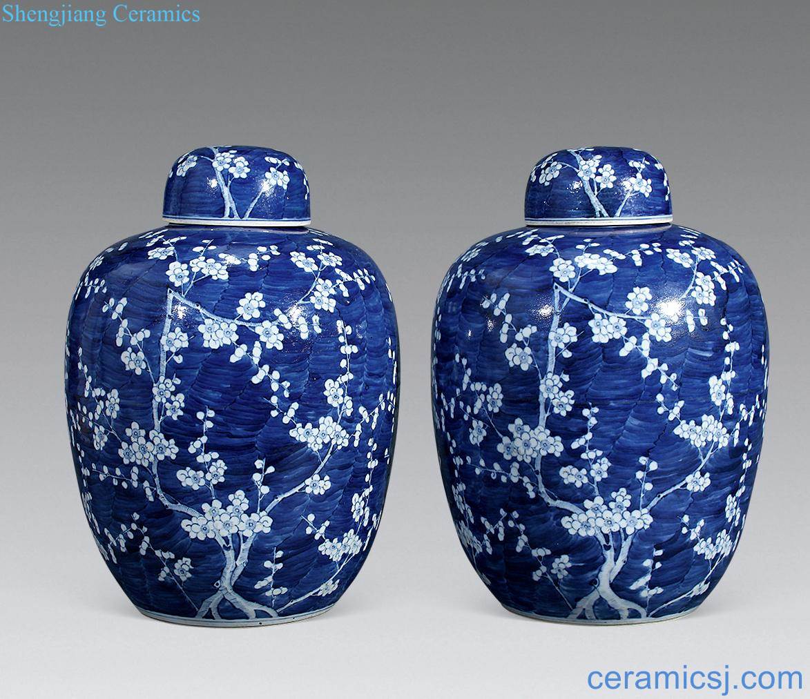 Qing guangxu Blue and white ice plum tank (a)