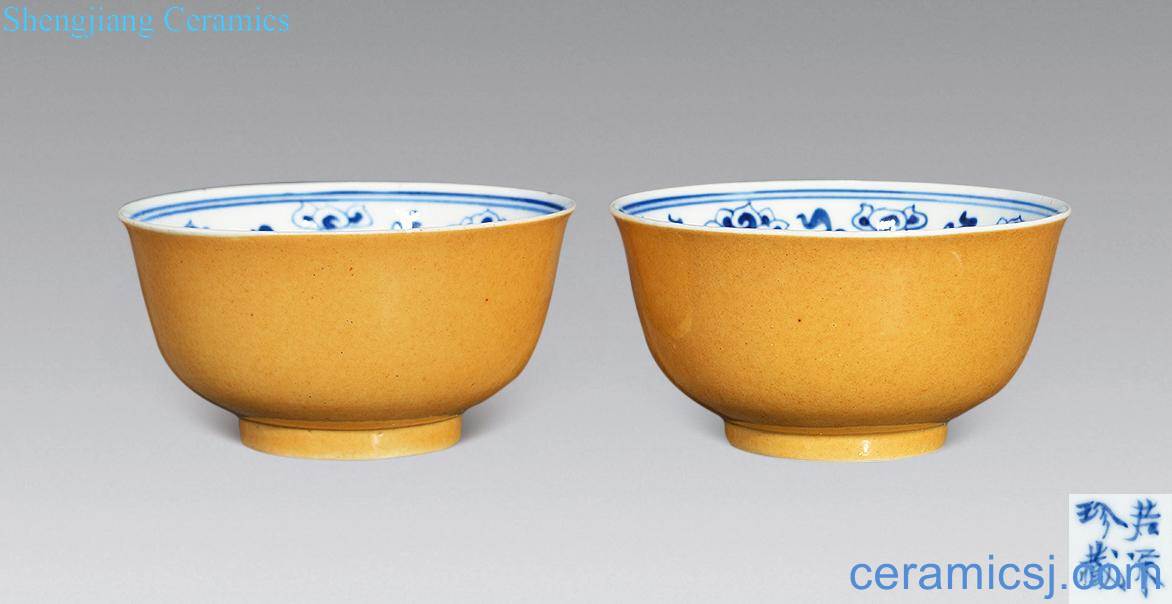 Qing guangxu Blue and white flower bowls bound branches outside yellow glaze in (a)