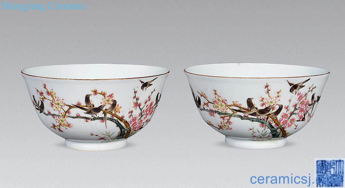 Pastel reign of qing emperor guangxu magpie on mei bowl (a)