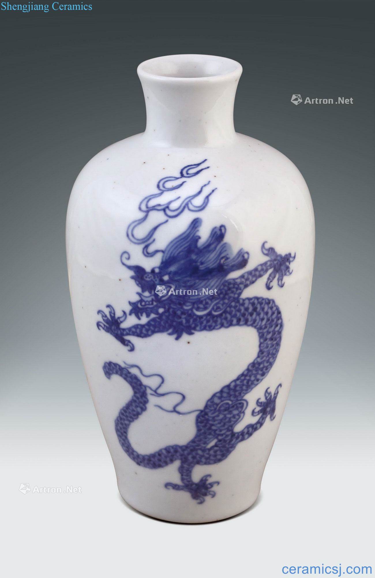 qing Blue and white dragon bottle