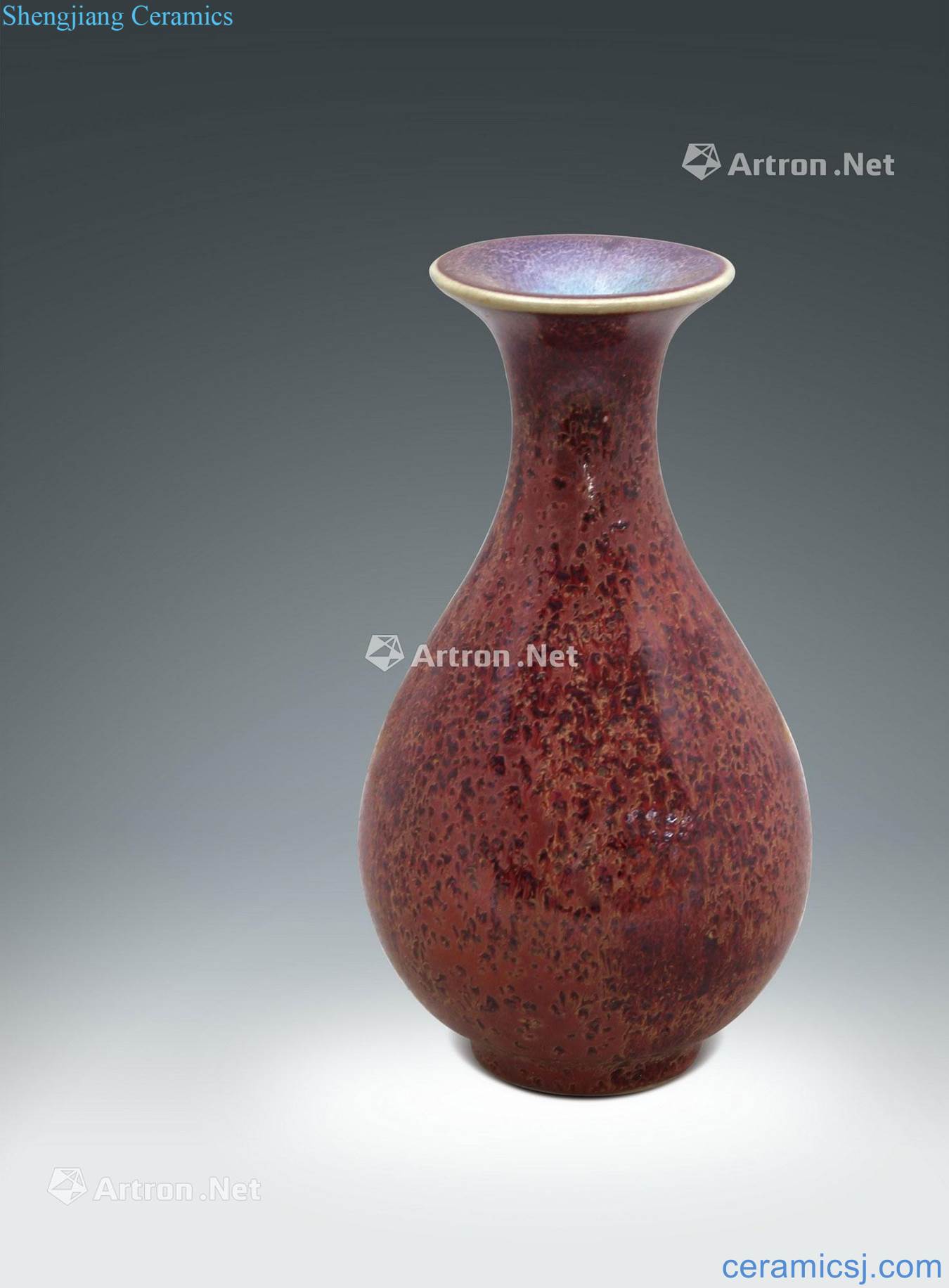 The song dynasty Jun red glaze okho spring bottle