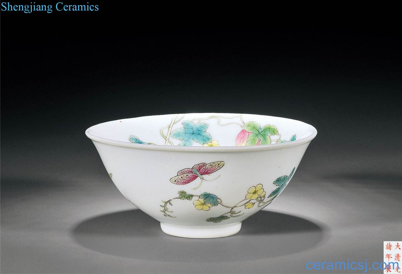 Pastel reign of qing emperor guangxu branch bitter gourd grain bowl