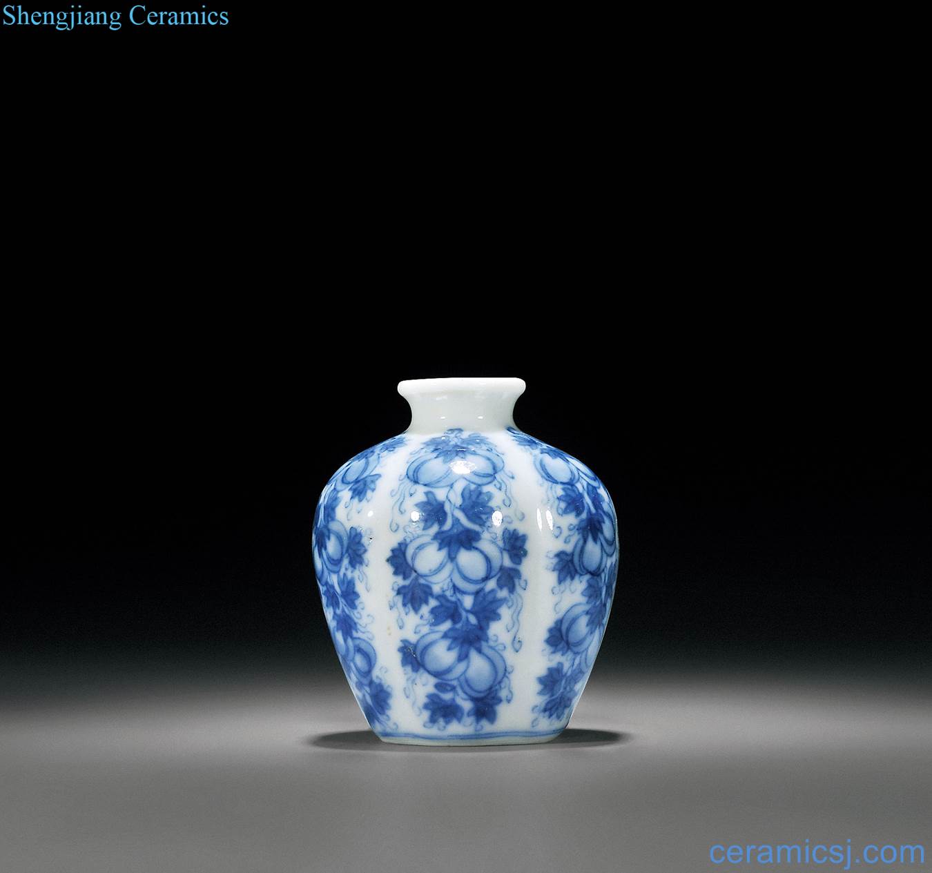 Blue and white the flourishing of descendants of qing yongzheng figure melon leng small bottle