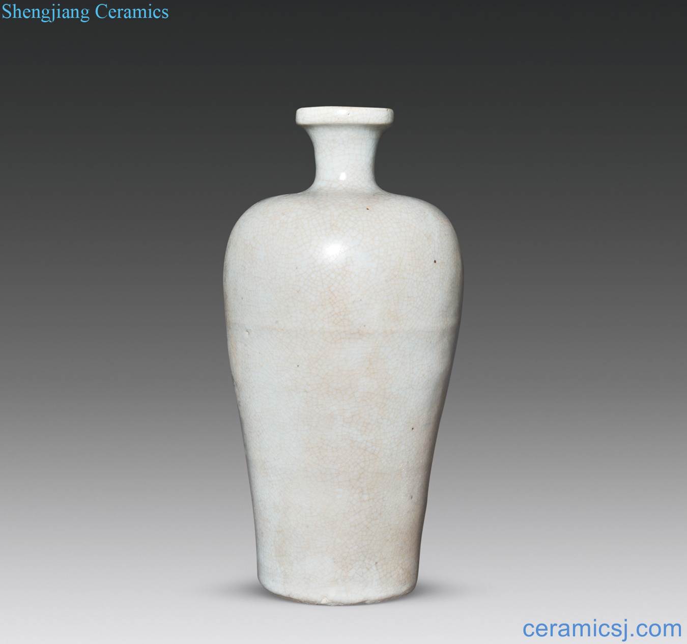 Brother Ming jiajing imitation glaze bottle