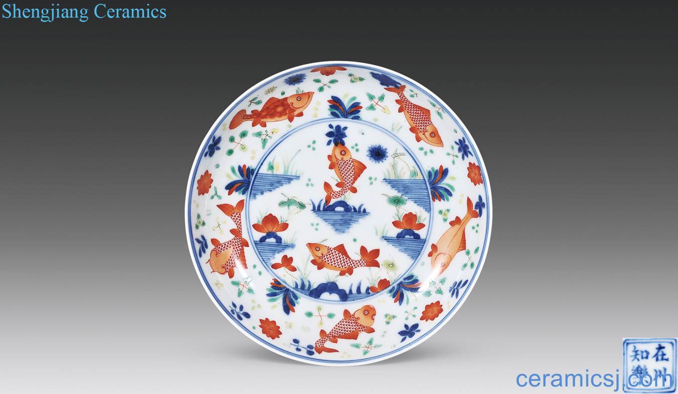 In late qing dynasty Blue and white fish and algae tray