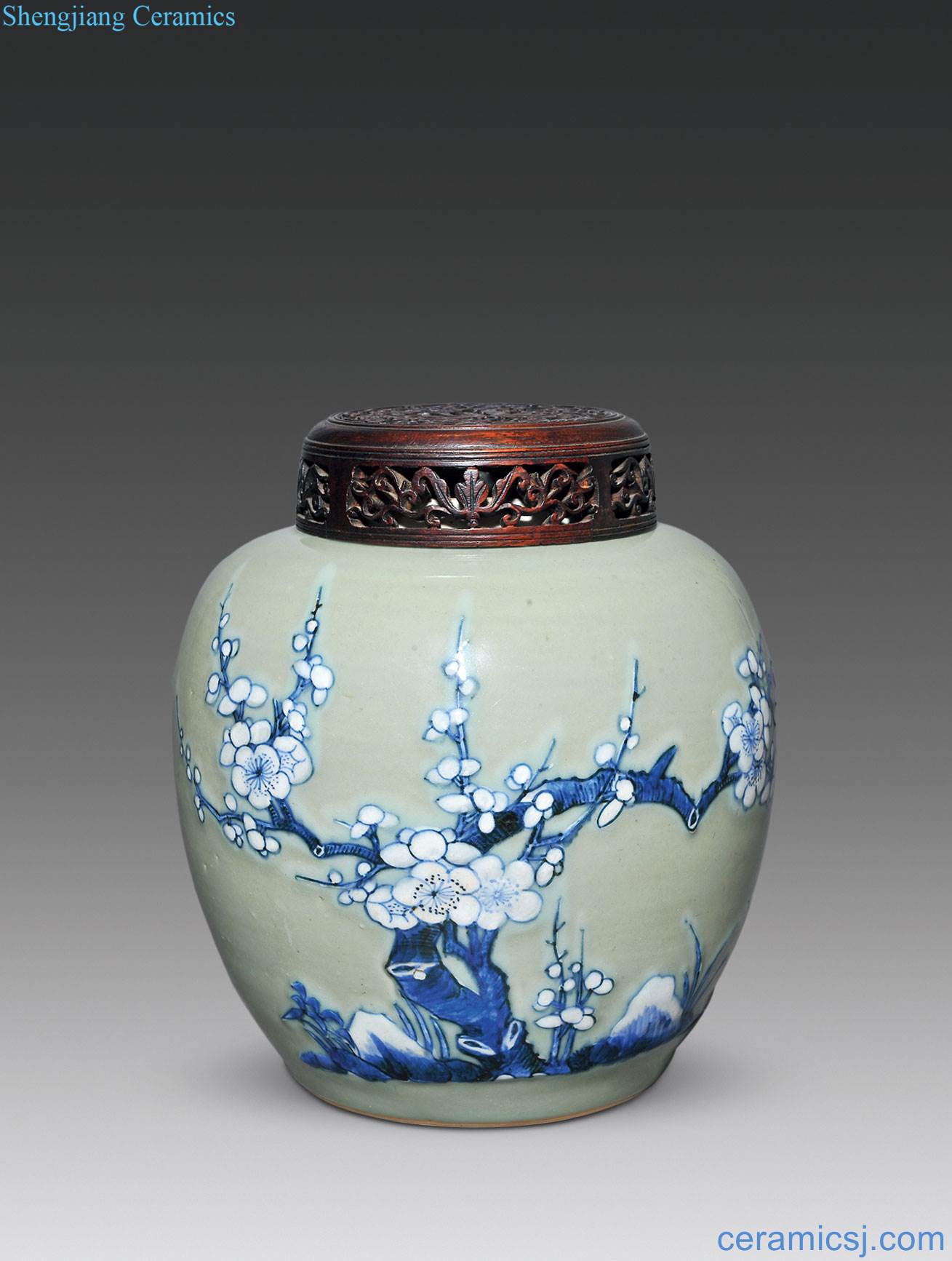 The qing emperor kangxi Green glaze of white blue magpie on mei figure cans