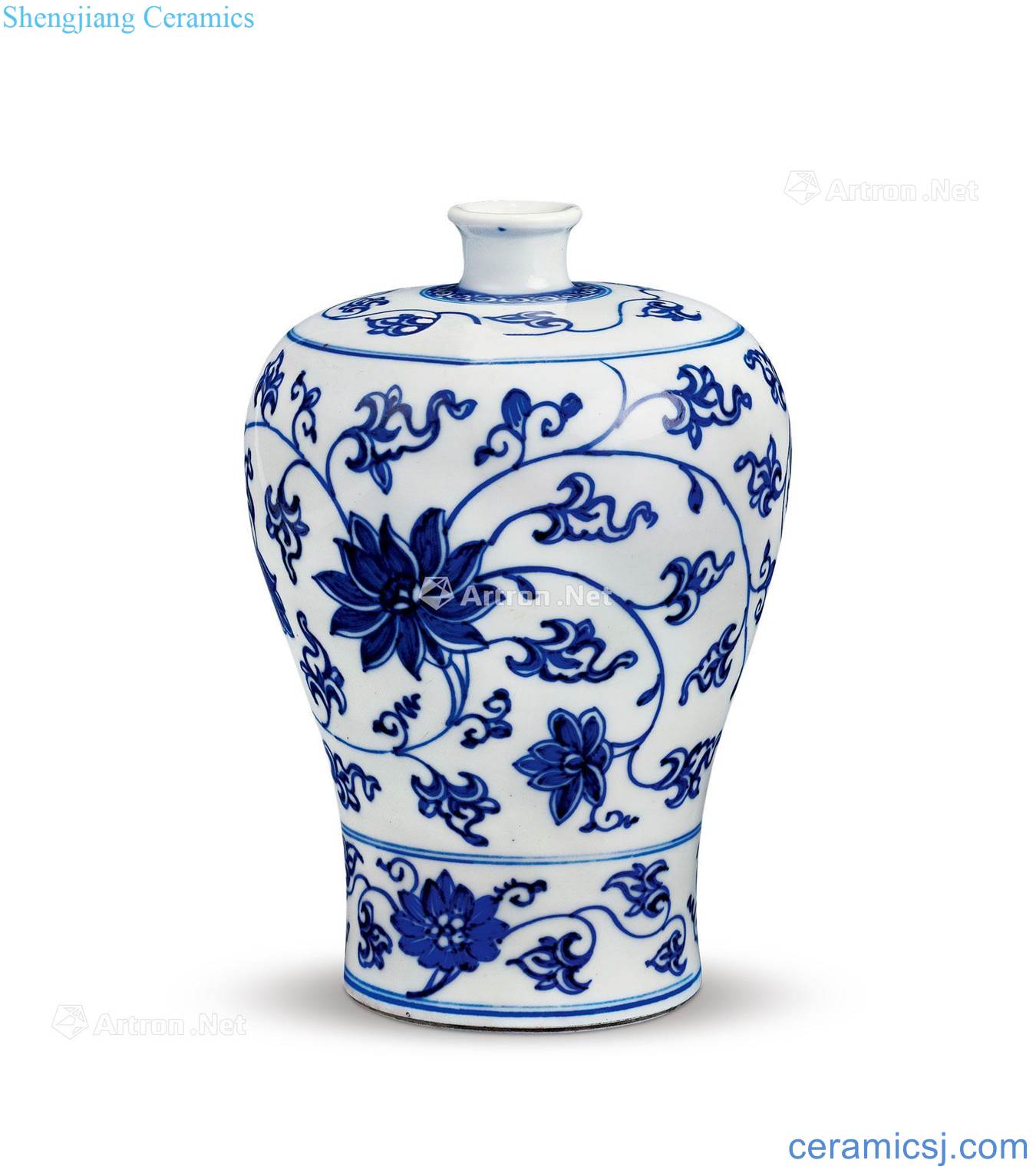 The qing emperor kangxi Blue and white tie up branch grain mei bottle