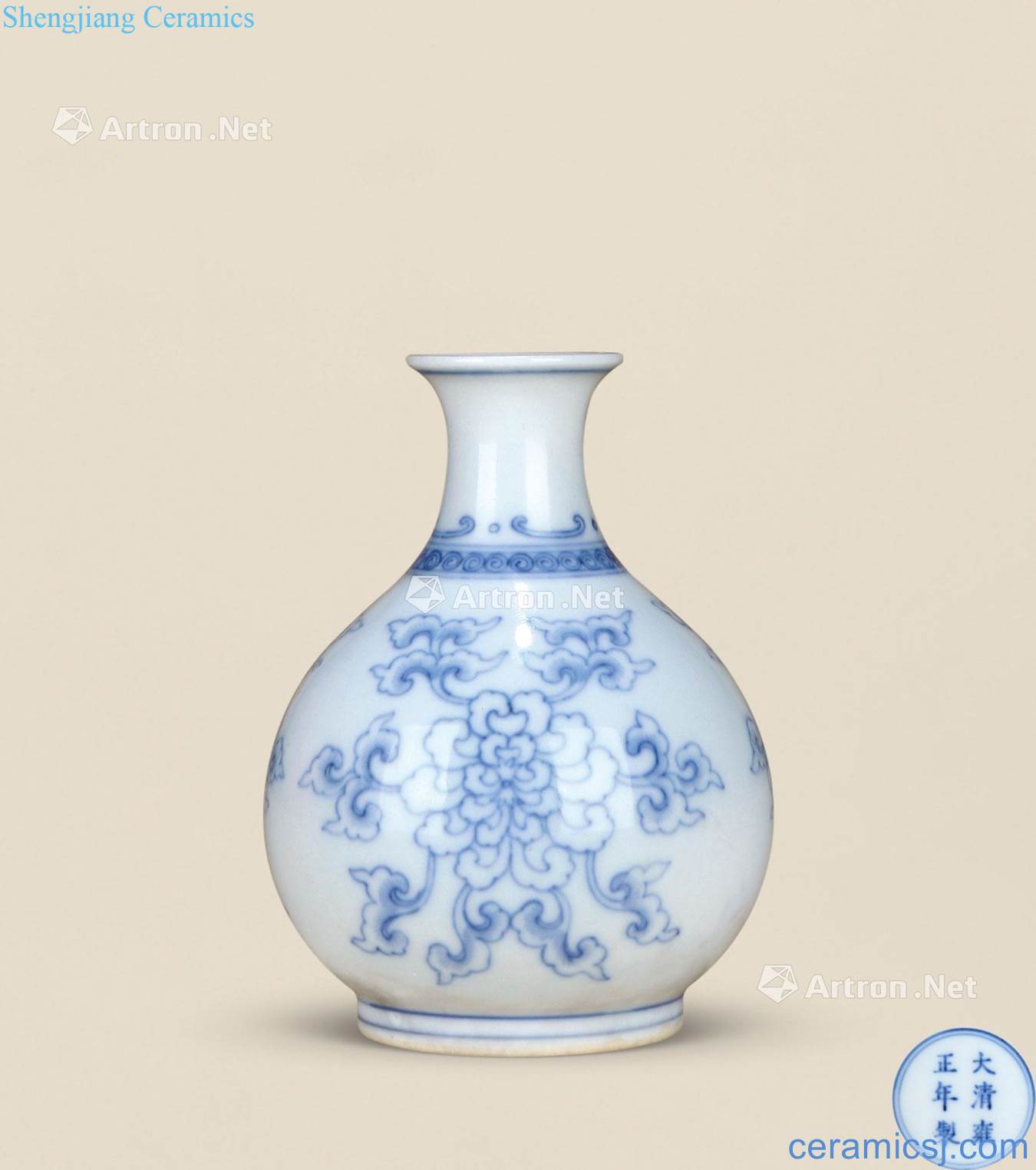Mid qing Blue and white light tracing passionflower grain small bottle