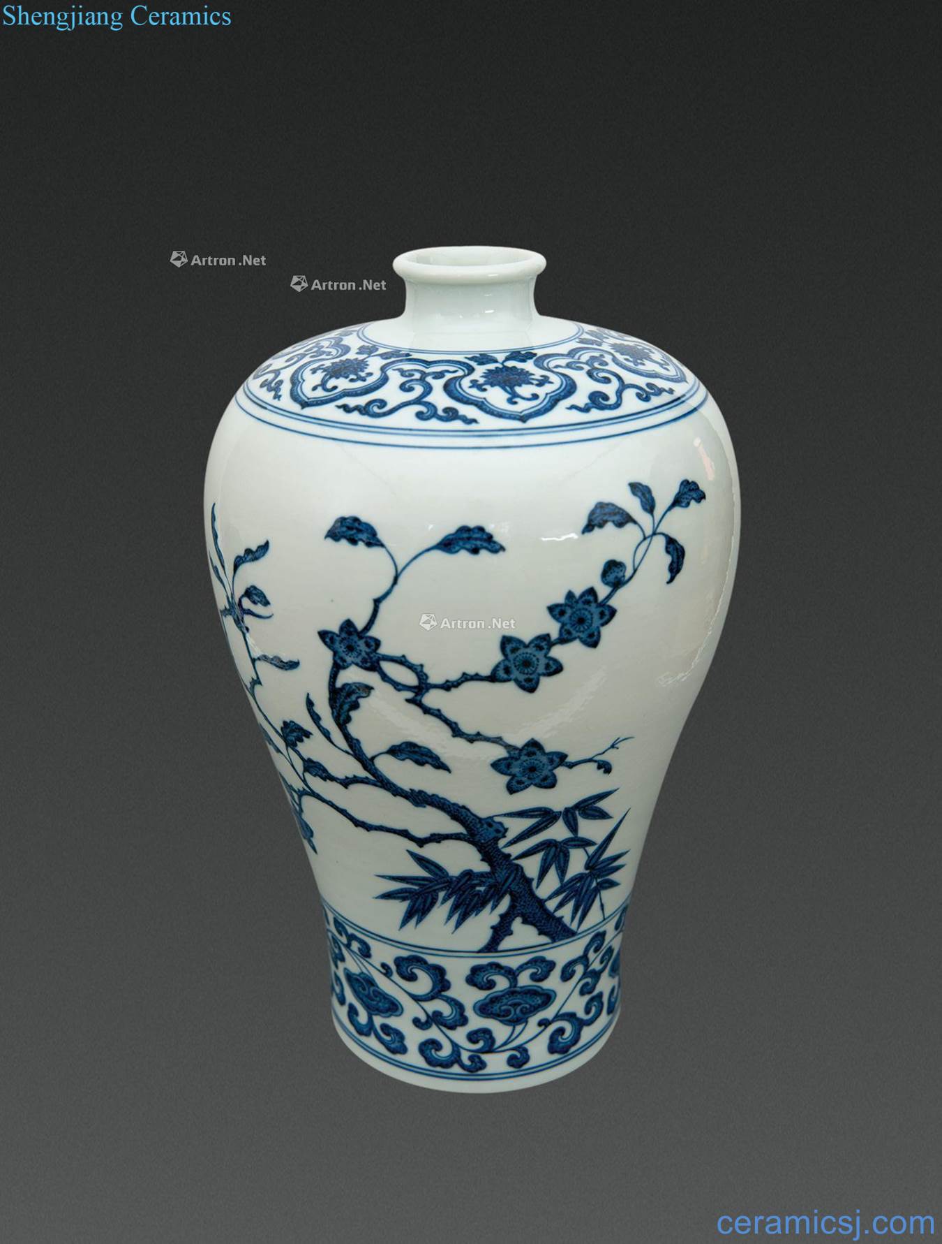 qing Blue and white MeiWenMei bottle