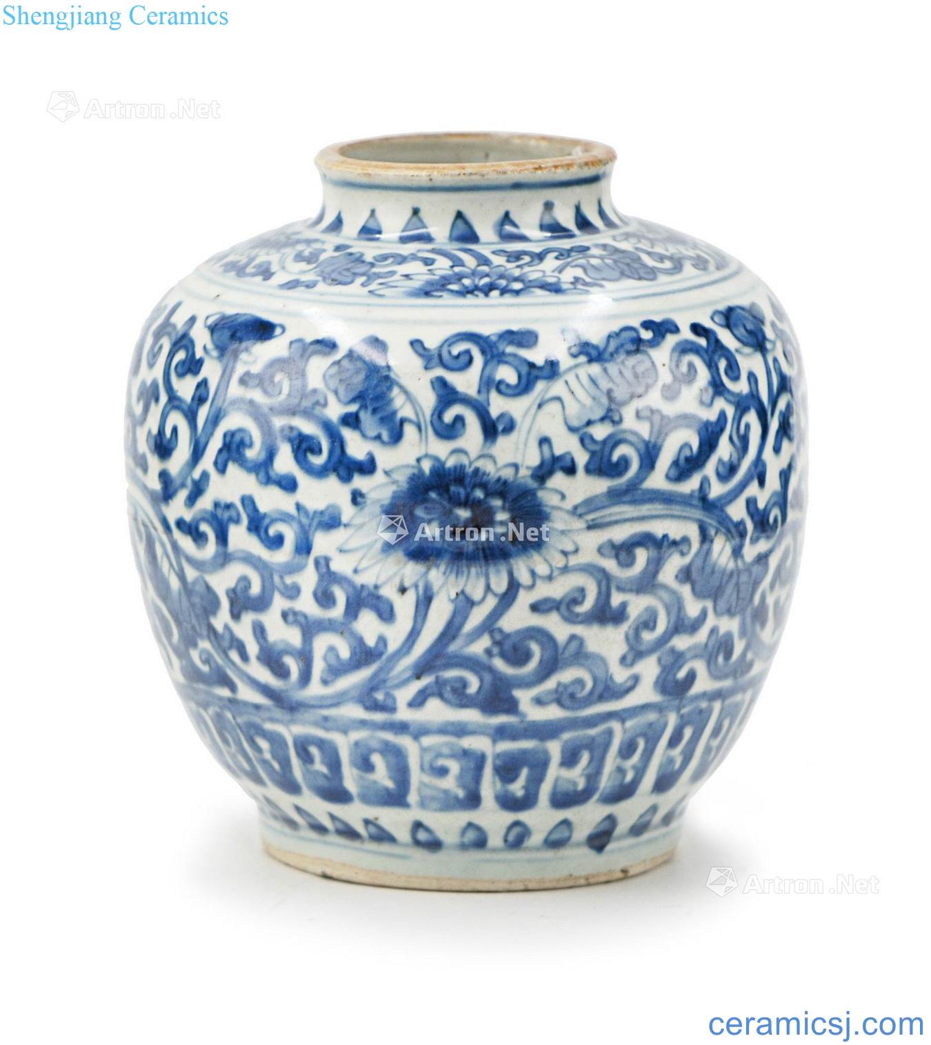 Ming (1368 ~ 1644) blue and white pot
