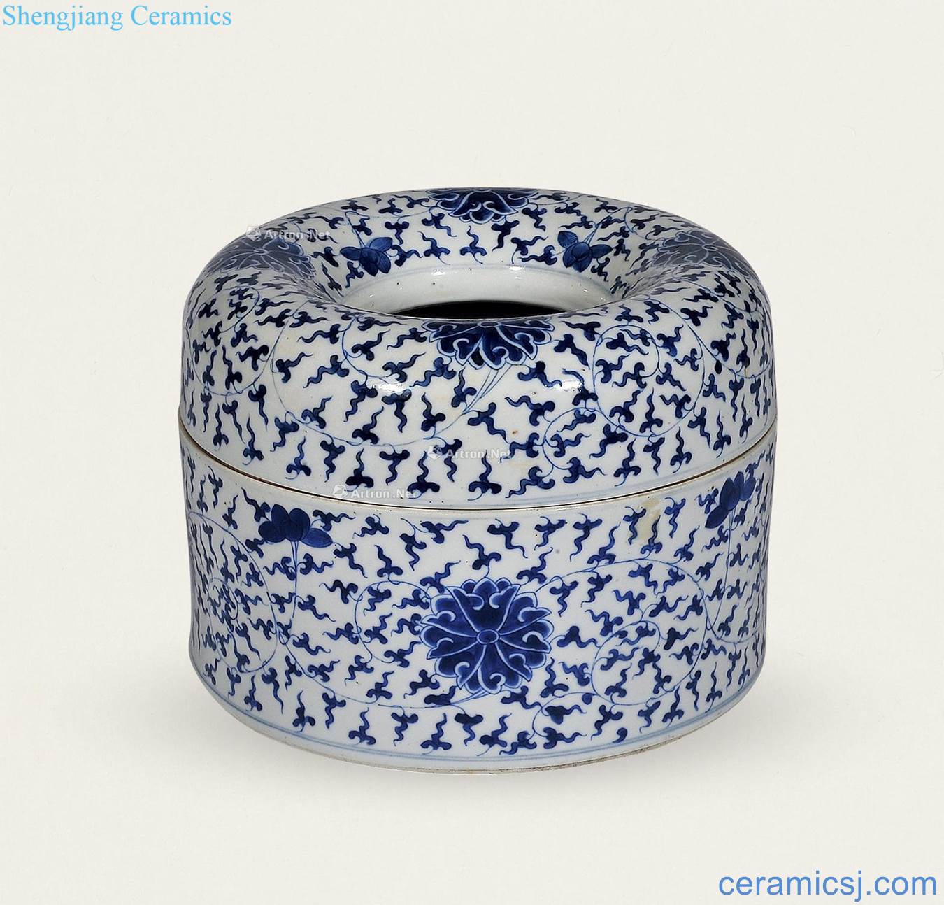 Qing dynasty blue and white beads box