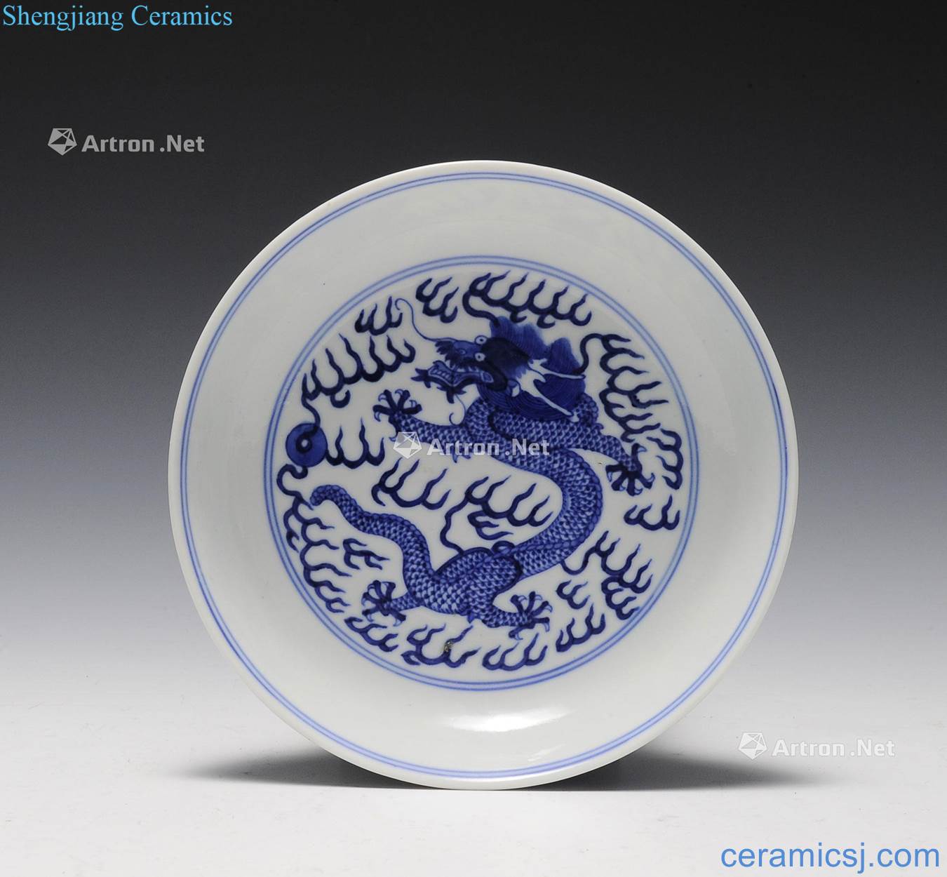 Guangxu period Imperial Blue & White Dragon Plate, Guangxu Mark