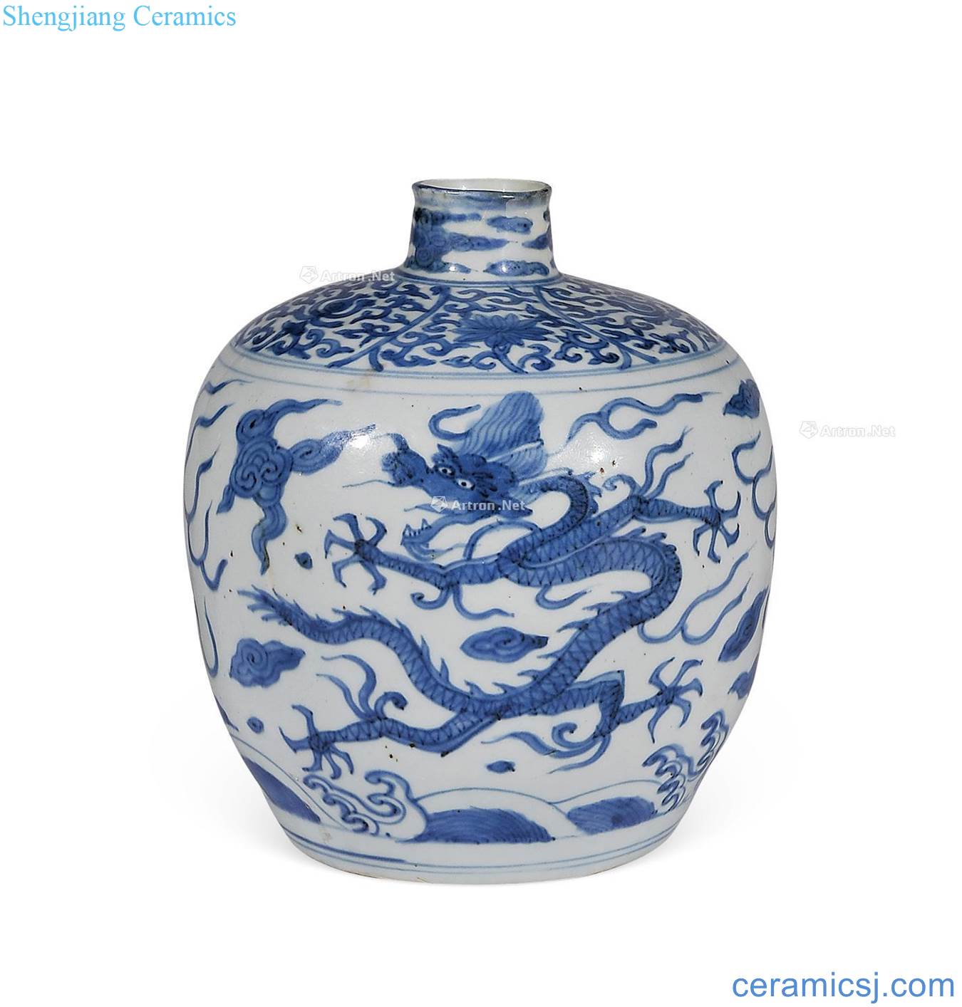 Ming jiajing Blue and white dragon bottle