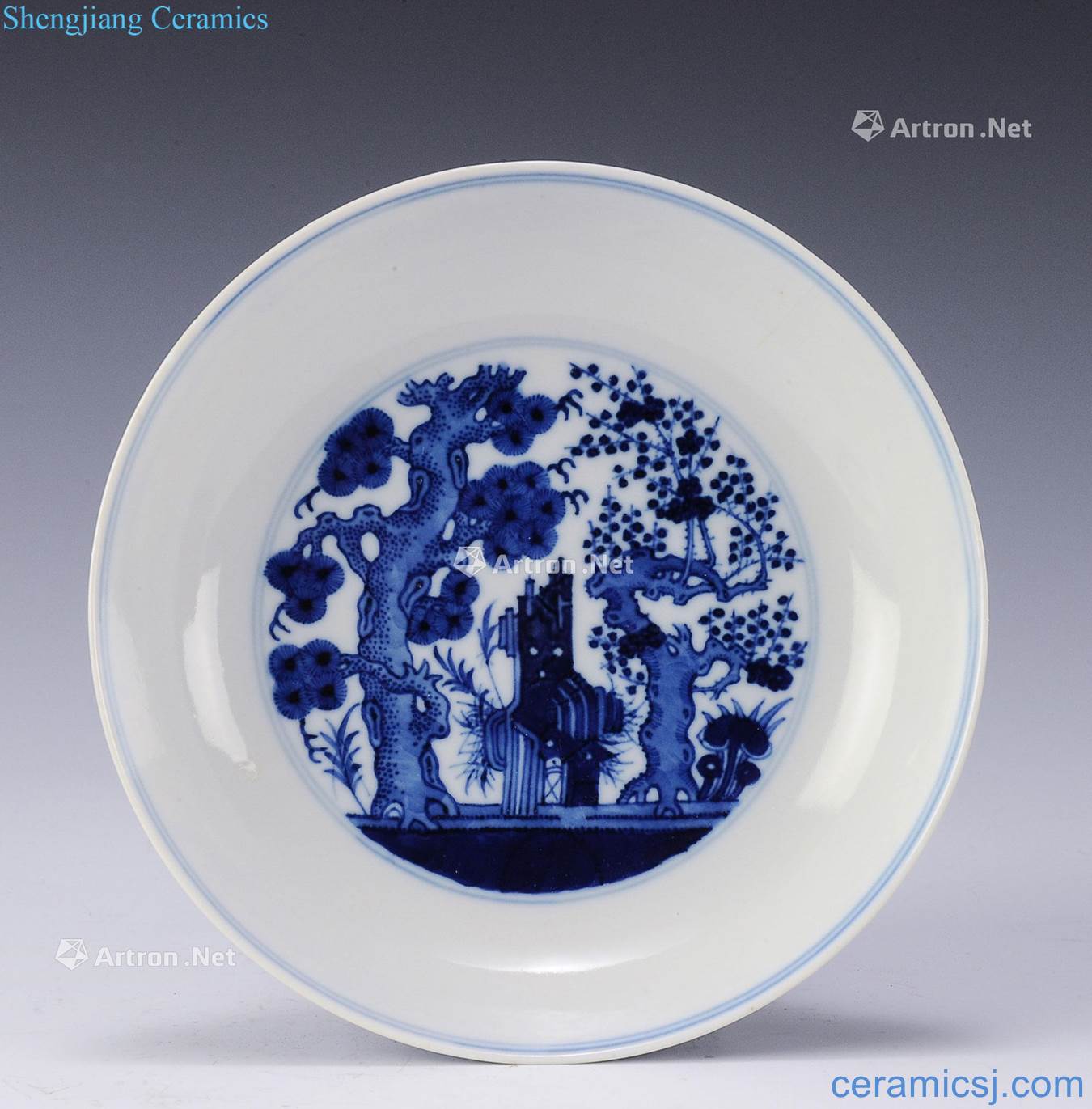 Guangxu period Imperial Blue & White Plate, Guangxu Mark