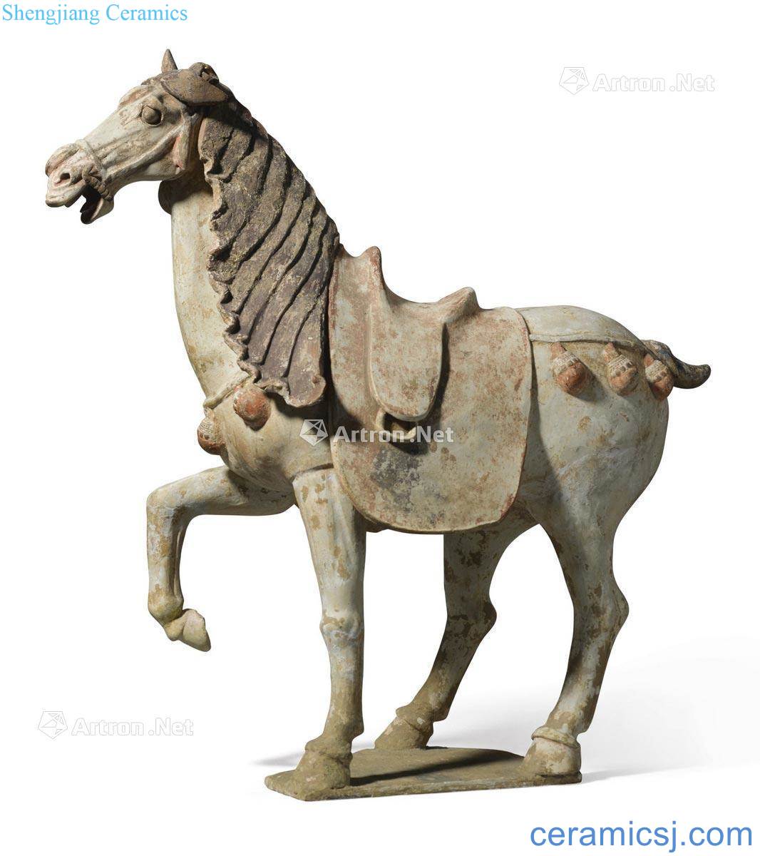 Tang 7 ~ 8 century Tao add horse