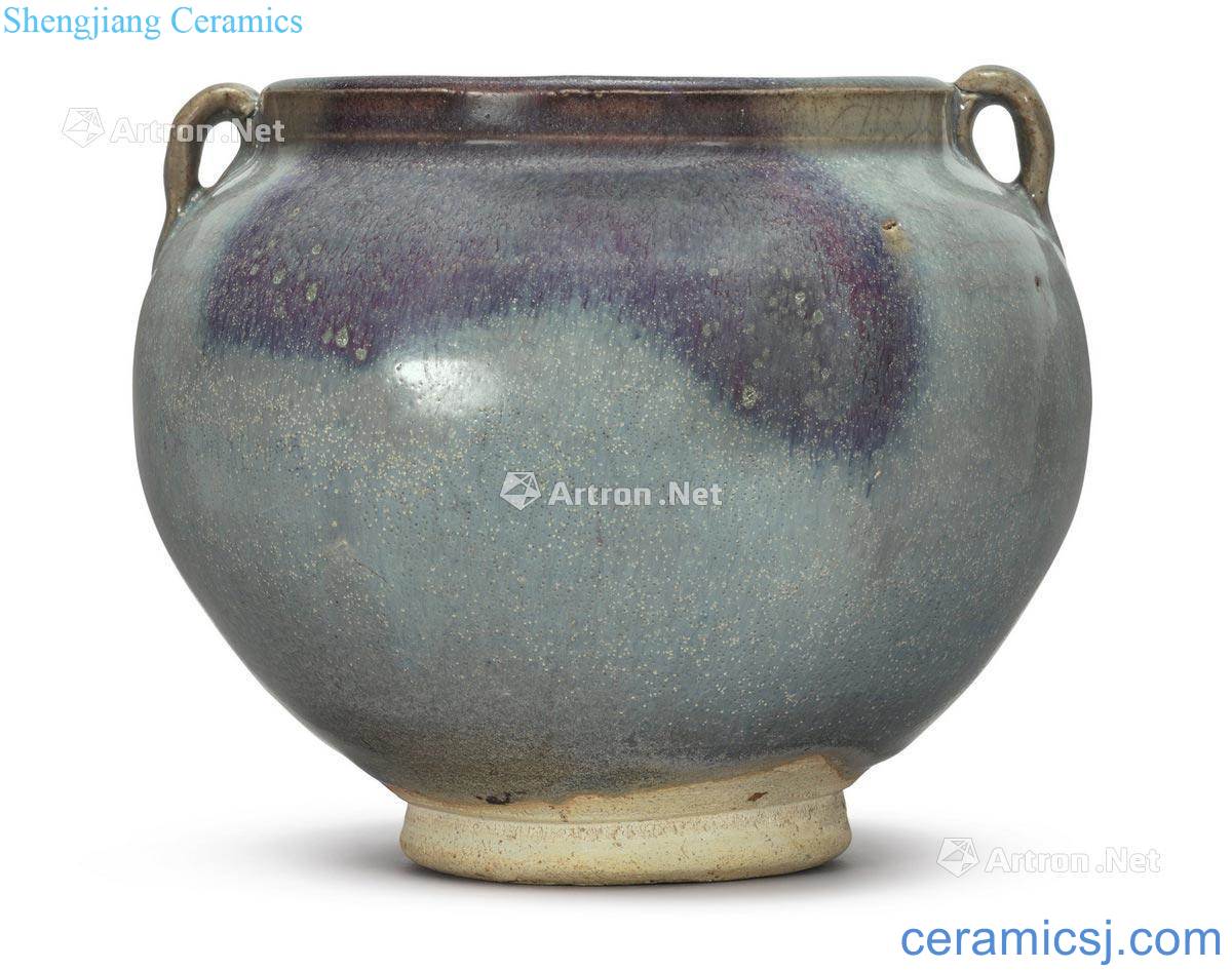 Gold ~ yuan Sky blue glaze masterpieces purple double 繋 cans
