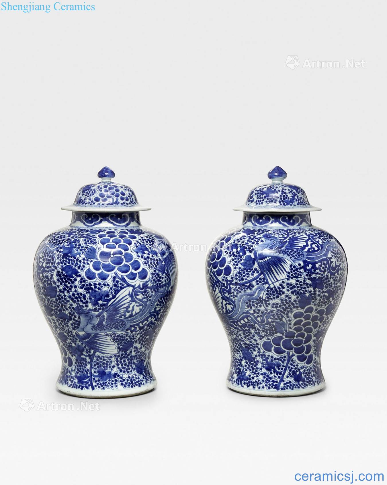 The qing emperor kangxi Blue and white floral grain tank (a)