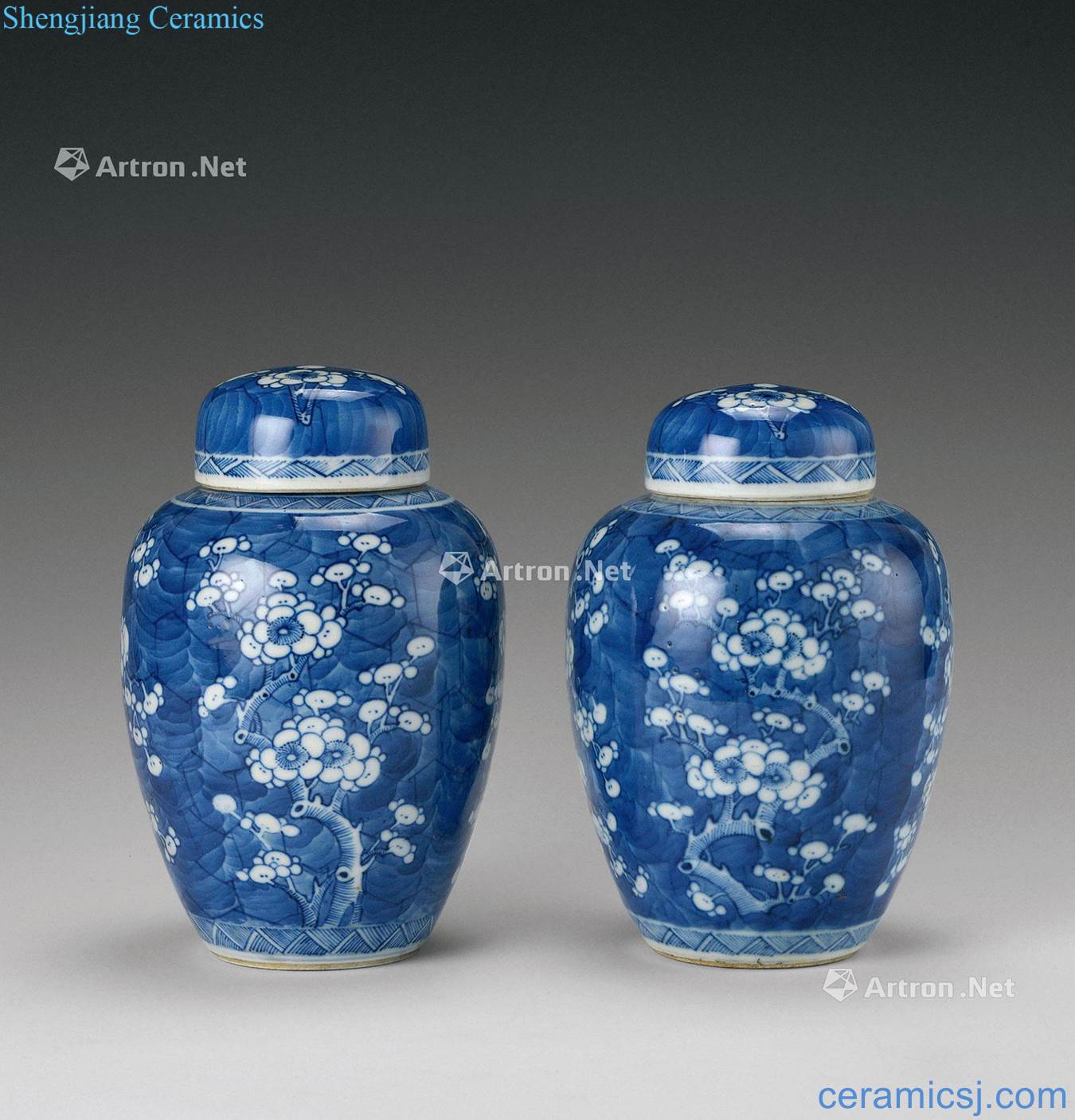 The qing emperor kangxi (1662-1722) blue and white ice MeiWen caddy (a)