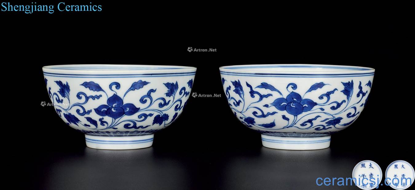 The qing emperor kangxi Blue and white flower bowls bound branches (a)