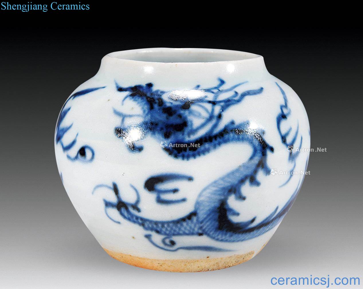yuan Blue and white dragon canister